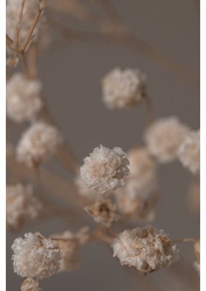 soft|kahve-Krem Bitki Şam Kapı Desen Kombini|çerçeveli Cam Tablo 3lü Dikey modelleri