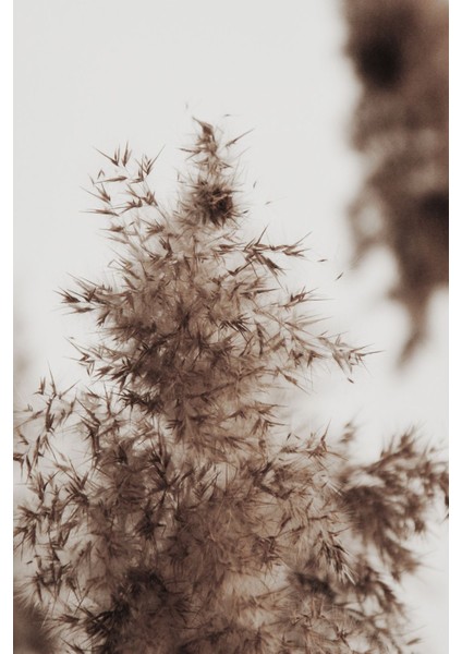 soft|kahve-Krem Bitki Şam Kapı Desen Kombini|çerçeveli Cam Tablo 3lü Dikey fırsatları