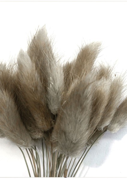 bej-Krem-Gold Bitki Desenli Soyut Kombini |çerçeveli Cam Tablo 3lü Dikey modelleri