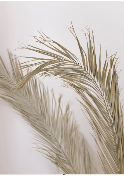 bej-Krem-Gold Bitki Desenli Soyut Kombini |çerçeveli Cam Tablo 3lü Dikey fırsatları