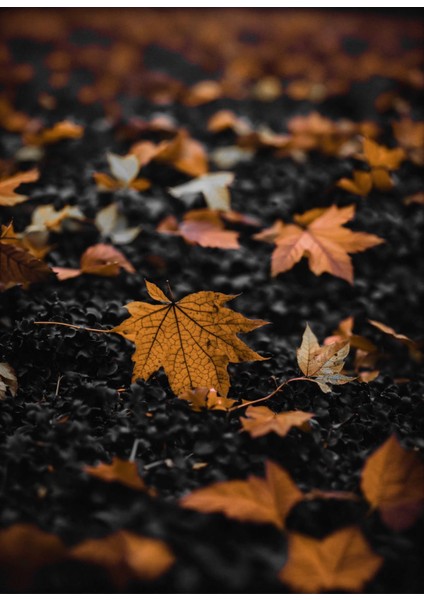 koyu Turuncu-Gri Yapraklar Kombini |çerçeveli Cam Tablo 3lü Dikey modelleri