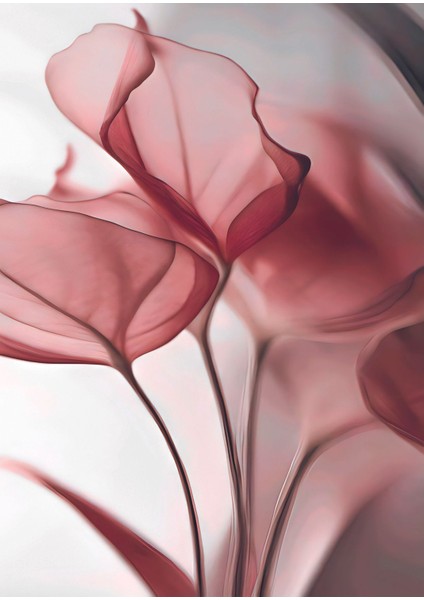 gül Kurusu Pembe Renk Soyut Çiçek Yaprak |çerçeveli Cam Tablo 3lü Dikey modelleri