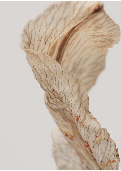 soft Turuncu-Beyaz-Krem Çiçekli Kombini 01|çerçeveli Cam Tablo 3lü Dikey modelleri