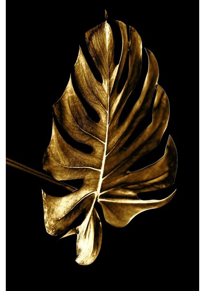 siyah-Gold Soft Renk Soyut Gül Yaprak Seti 01 |çerçeveli Cam Tablo 3lü Dikey fırsatları