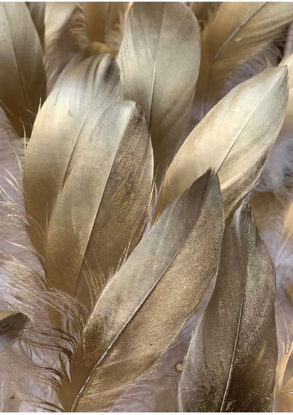 beyaz-Siyah-Gold Soft Kanat Tüy Seti |çerçeveli Cam Tablo 3lü Dikey fiyatları