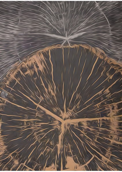 bronz Soft Ahşap Renk Soyut Desen Seti|çerçeveli Cam Tablo 3lü Dikey modelleri