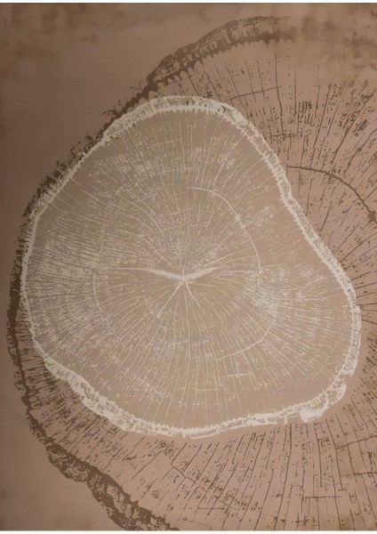 bronz Soft Ahşap Renk Soyut Desen Seti|çerçeveli Cam Tablo 3lü Dikey fırsatları