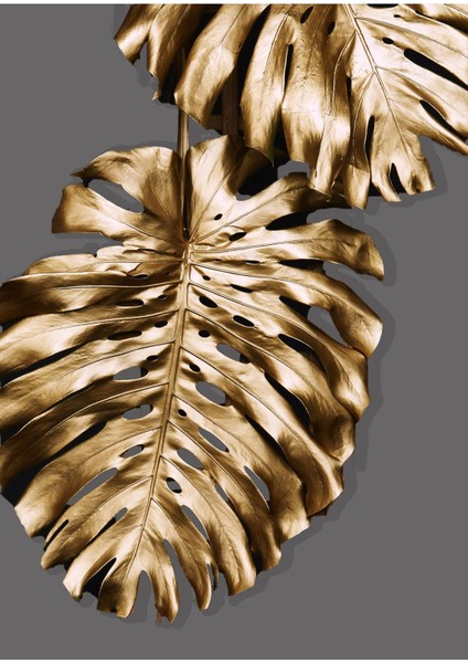 beyaz-Gri-Gold Soft Renk Yaprak Inci Seti |çerçeveli Cam Tablo 3lü Dikey fiyatları