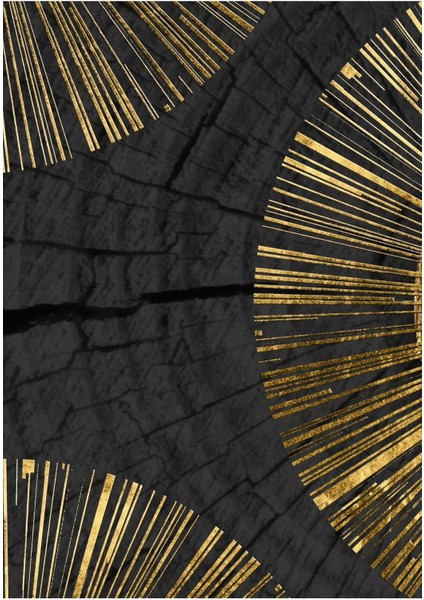 siyah-Gold Etnik Soyut Kombini|çerçeveli Cam Tablo 3lü Dikey modelleri