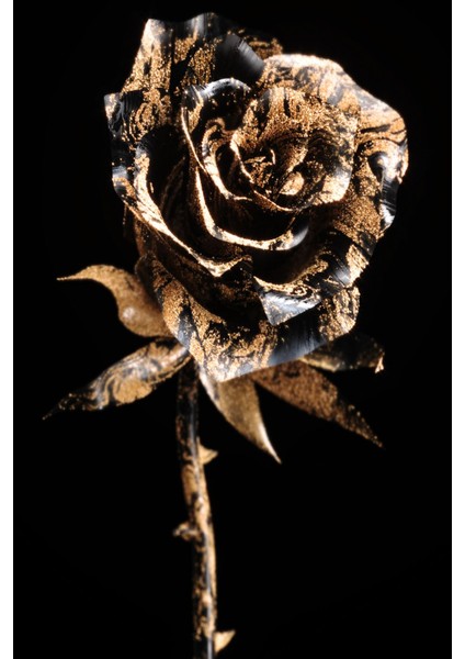 siyah-Gold Soft Renk Soyut Gül Yaprak Seti 01 |çerçeveli Cam Tablo 3lü Dikey modelleri