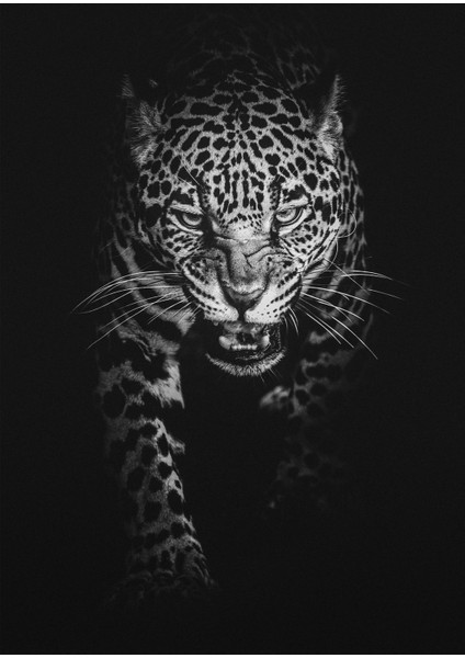 aslan-Kaplan-Leopar Tablosu 01|çerçeveli Temperli Cam Tablo 3lü Dikey modelleri