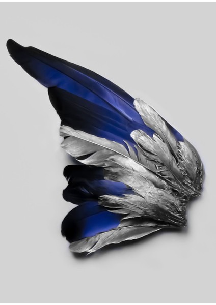 lacivert-Gümüş Tüy ve Kelebek Kanat Kombin |çerçeveli Cam Tablo 3lü Dikey fiyatları