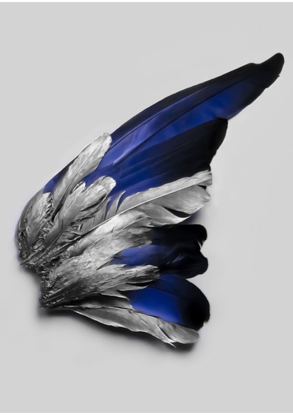 lacivert-Gümüş Tüy ve Kelebek Kanat Kombin |çerçeveli Cam Tablo 3lü Dikey fırsatları