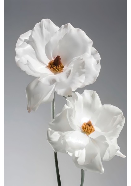 siyah-Beyaz Tüy Kombini Yeni Tasarım |çerçeveli Cam Tablo Temperli 3lü Dikey fiyatları