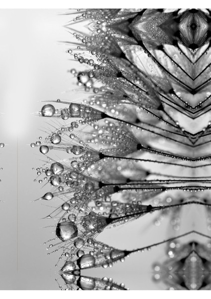 siyah-Beyaz Tüy Kombini Yeni Tasarım |çerçeveli Cam Tablo Temperli 3lü Dikey fırsatları