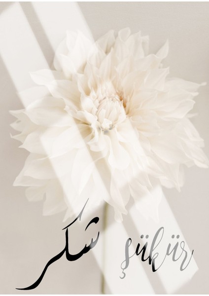 şükür-Dua-Sabır Soft Çiçek|çerçeveli Cam Tablo 3lü Dikey fiyatları