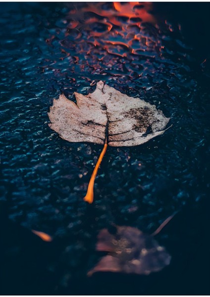 lacivert-Gold Kombini Yaprak Orman Kombini|çerçeveli Temperli Cam Tablo 3lü Dikey fırsatları