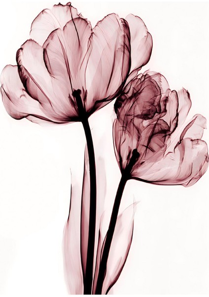 pudra Pembe Renk 3 Lü Soyut Çiçek |çerçeveli Cam Tablo 3lü Dikey fiyatları