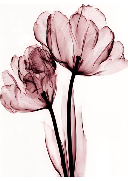 pudra Pembe Renk 3 Lü Soyut Çiçek |çerçeveli Cam Tablo 3lü Dikey fırsatları