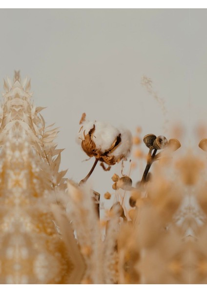 soft-Beyaz En Şık Çiçek Kombini 5|çerçeveli Temperli Cam Tablo 3lü Dikey modelleri