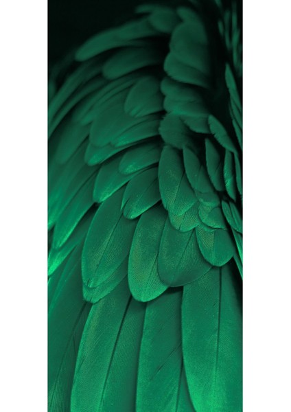 zümrüt-Gold Kombini Kanat-Soyut Kombin|çerçeveli Temperli Cam Tablo 3lü Dikey fırsatları