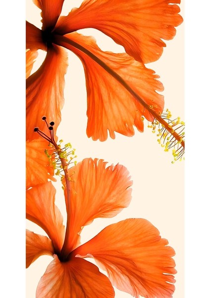 soft-Turuncu Çiçek Kombini |çerçeveli Temperli Cam Tablo 3lü Dikey fırsatları