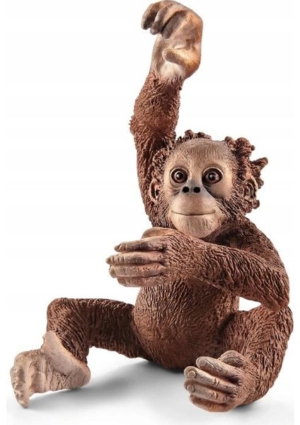 Yavru Orangutan 17102 modelleri