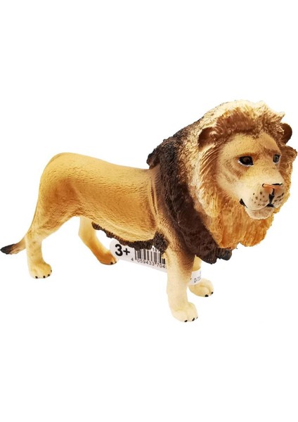 Erkek Aslan 17107
