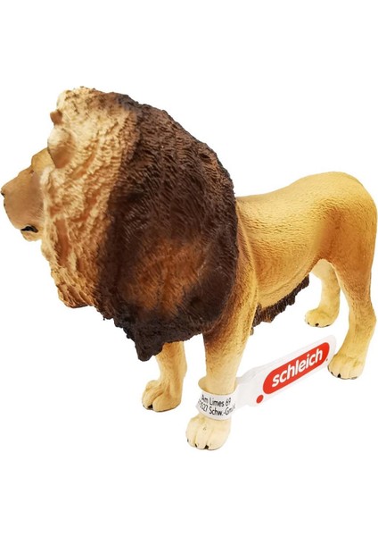 Erkek Aslan 17107