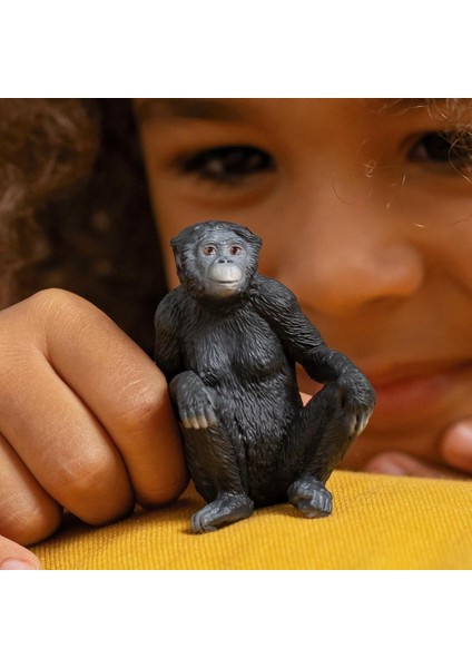 Dişi Bonobo 14875