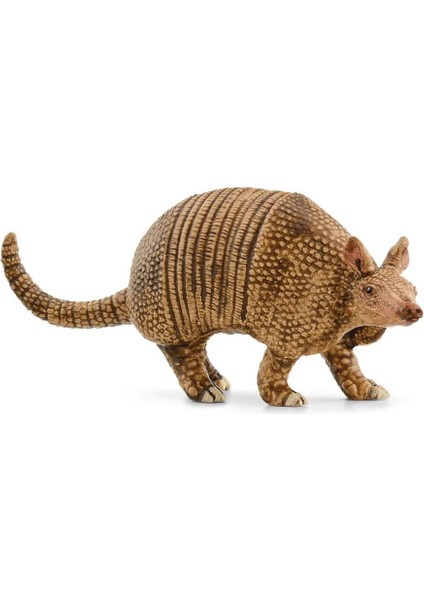 Armadillo 14874
