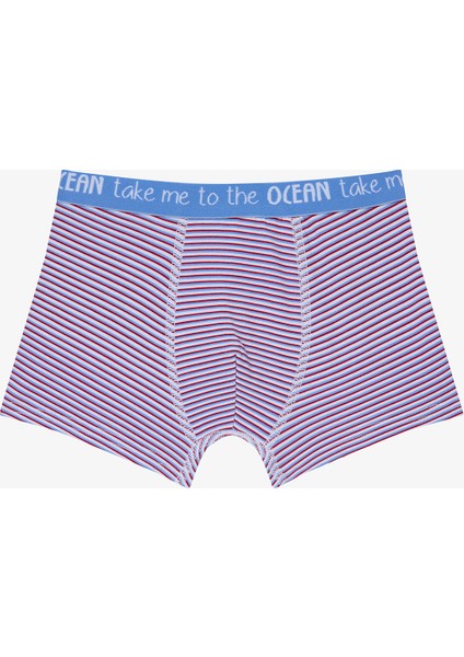 Erkek Çocuk Balon Balığı Baskılı 2'li Pamuklu Boxer modelleri