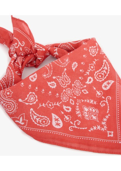 Camella Renkli Bandana