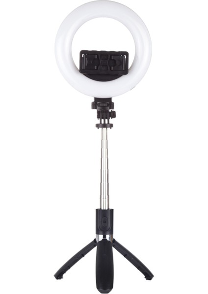 Puluz Canlı Yayın Için Ele Tutulabilir Halka Işık Doldurma Işığı (Yurt Dışından)