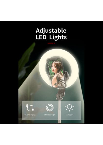 Taşınabilir Bluetooth Kablosuz Sie Ştığı, Çıkarılabilir Uzak Kontrol ve LED Işıkları ile (Yurt Dışından) modelleri