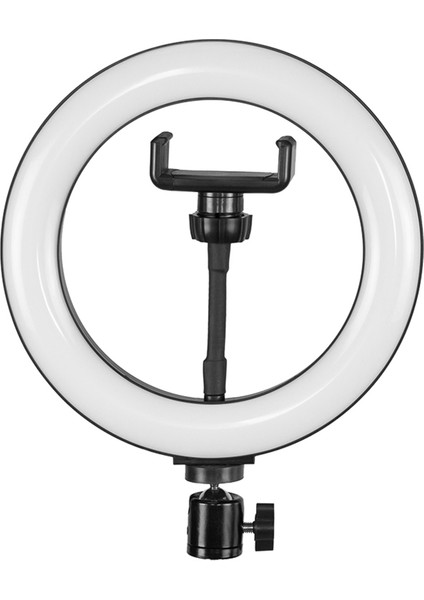 8 Inç Halka Işığı USB ile Çalıştırılabilir Sonsuz Aydınlatma Ayarlamalı (Yurt Dışından)