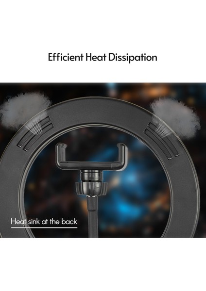 8 Inç Halka Işığı USB ile Çalıştırılabilir Sonsuz Aydınlatma Ayarlamalı (Yurt Dışından) modelleri