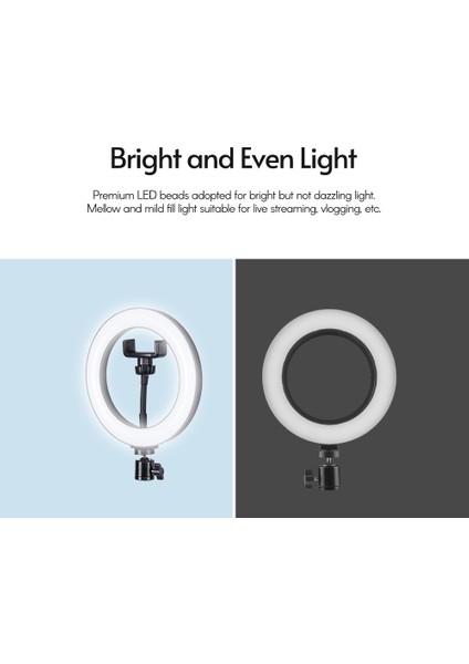 8 Inç Halka Işığı USB ile Çalıştırılabilir Sonsuz Aydınlatma Ayarlamalı (Yurt Dışından) fırsatları