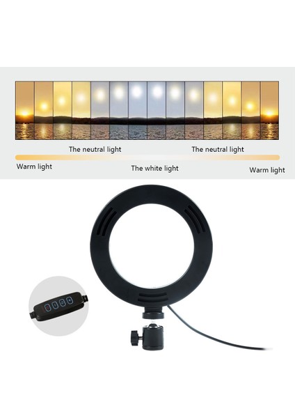 6 Inç LED Halka Şeklinde Işıklandırma Lambası Canlı Güzelleştirme Özütü (Yurt Dışından) fiyatları
