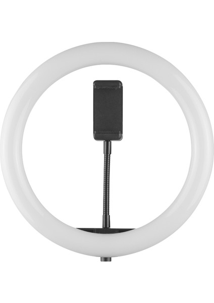 10 Inç Masaüstü LED Halka Işığı 3 Aydınlatma Modu Aydınlatma Seviyesi Ayarlanabilir (Yurt Dışından)