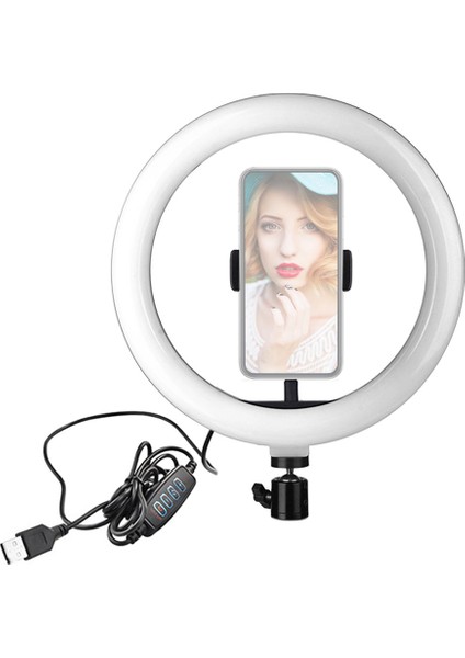 10 Inçlik LED Halka Işığı Aydınlatma Seviyesi Ayarlanabilir 3 Aydınlatma Modu (Yurt Dışından)