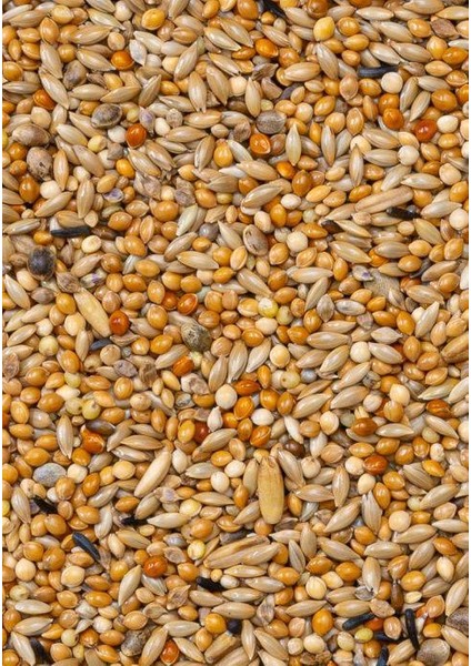 Premium Muhabbet Yemi 1100gr fiyatları