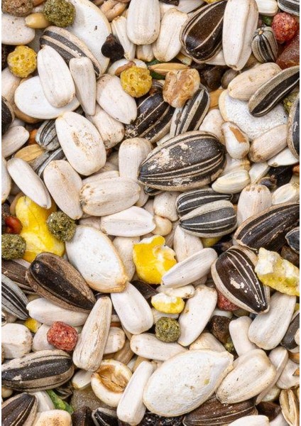 Premium Parrots Papağan Yemi 800GR