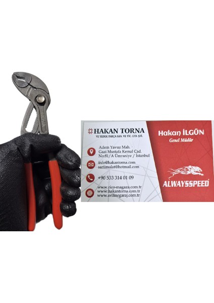 Pro 160MM Ayarlı Ford Pense Düğmeli Cr-V Papağan Pense