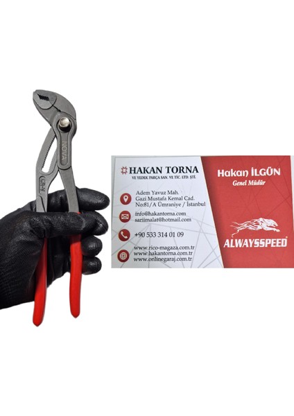 Pro 250MM Ayarlı Ford Pense Düğmeli Cr-V Papağan Pense