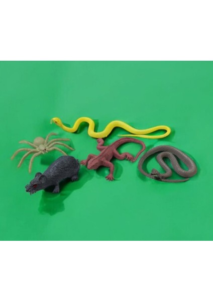 Sürüngen Hayvanlar Figür Oyuncak Plastik Model 5 Parça - Çok Renkli