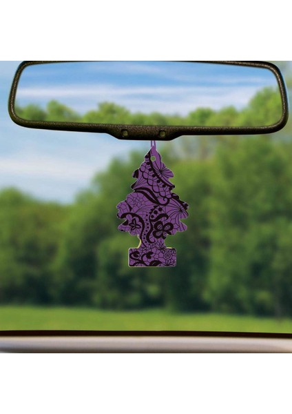 Asma Koku 12'li Gece Yarısı modelleri