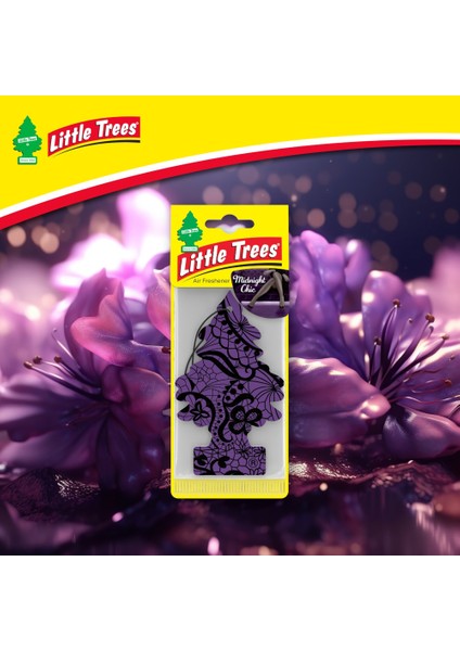 Asma Koku 12'li Gece Yarısı fırsatları