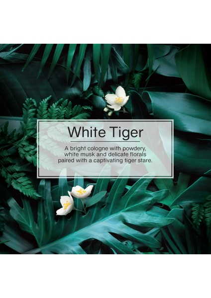 Asma Koku 12'li Vahşi Içgüdü indirimleri