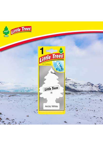 Asma Koku 6'lı Buz Beyazı modelleri